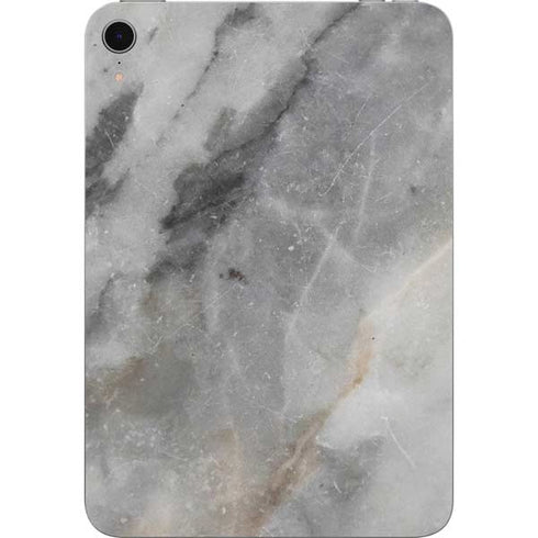 Stone Taupe Apple iPad Mini Skin