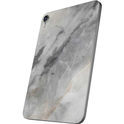 Stone Taupe Apple iPad Mini Skin