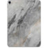 Stone Taupe Apple iPad Pro Skin