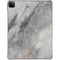 Stone Taupe iPad Pro 11in (2024) Clear Case