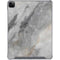 Stone Taupe iPad Cases