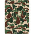 Street Camo Apple iPad Air Skin
