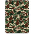 Street Camo Apple iPad Pro Skin