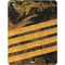 Striped Marble iPad Pro 13in M4 (2024) Skin