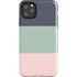 Striped Spring Colors iPhone Cases