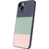 Striped Spring Colors iPhone Skins