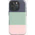 Striped Spring Colors iPhone 16 Pro Max Magsafe Impact Case