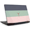 Striped Spring Colors Legion Y720 Skin