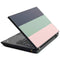 Striped Spring Colors Lenovo T420 Skin