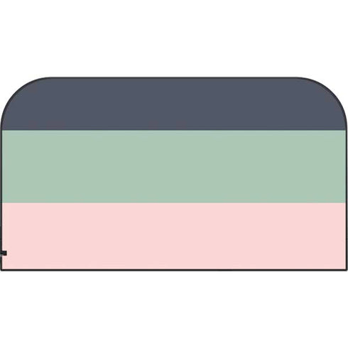 Striped Spring Colors Nintendo Switch 2 (2025) with Joy-Con Skin