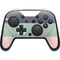 Striped Spring Colors Nintendo Switch 2 (2025) Pro Controller Skin