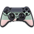 Striped Spring Colors PlayStation PS4 Skins