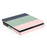 Striped Spring Colors PlayStation PS4 Skins