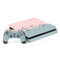 Succulent Sketch PlayStation PS4 Skins
