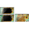 Sunflowers 1888 by Van Gogh DS Lite Skin
