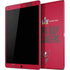 NFL Super Bowl LV Champions Tampa Bay Buccaneers iPad Skins