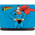 DC Comics Superman Classic Art Pose Legion Y720 Skin