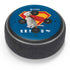 Superman 2025 Krypto the Super Dog Amazon Echo Dot Skin