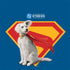 Superman 2025 Krypto the Super Dog Otterbox Commuter Galaxy Skin