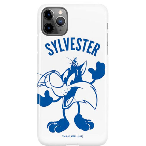 Looney Tunes Sylvester the Cat Big Head iPhone Cases