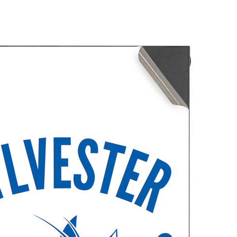 Looney Tunes Sylvester the Cat Big Head XBox Series X Digital Edition Console Skin