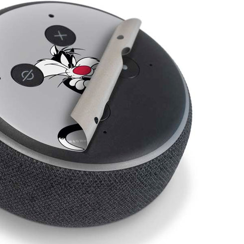 Looney Tunes Sylvester Tweety Bird Crossed Arms Amazon Echo Dot Skin
