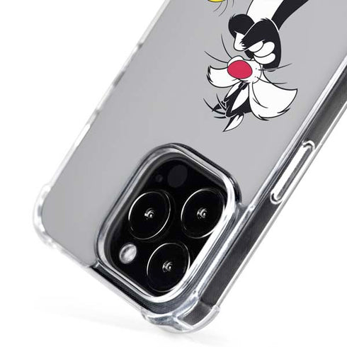 Looney Tunes Sylvester Tweety Bird Crossed Arms iPhone 16 Pro MagSafe Case