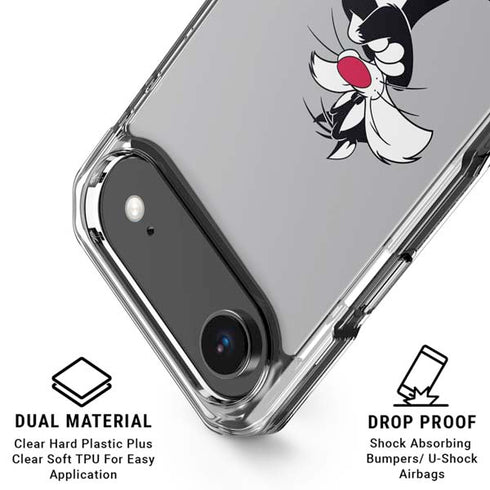 Looney Tunes Sylvester Tweety Bird Crossed Arms iPhone 17 Air Clear Case