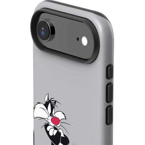 Looney Tunes Sylvester Tweety Bird Crossed Arms iPhone 17 Air Impact Case