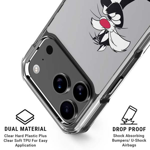 Looney Tunes Sylvester Tweety Bird Crossed Arms iPhone 17 Pro MagSafe Case
