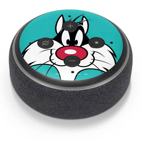 Looney Tunes Sylvester Zoomed In Amazon Echo Dot Skin