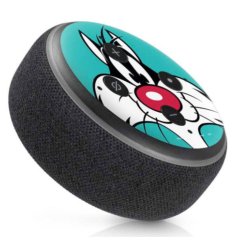 Looney Tunes Sylvester Zoomed In Amazon Echo Dot Skin