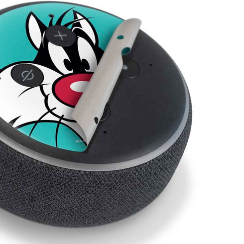 Looney Tunes Sylvester Zoomed In Amazon Echo Dot Skin