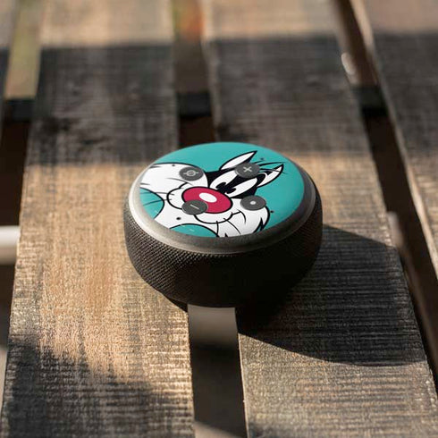 Looney Tunes Sylvester Zoomed In Amazon Echo Dot Skin