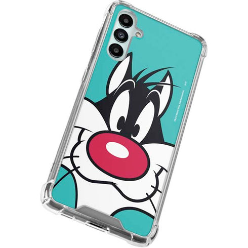 Looney Tunes Sylvester Zoomed In Gabb Phone 4 Clear Case