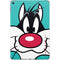 Looney Tunes Sylvester Zoomed In iPad Skins