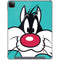 Looney Tunes Sylvester Zoomed In iPad Cases