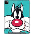 Looney Tunes Sylvester Zoomed In iPad Cases