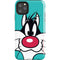 Looney Tunes Sylvester Zoomed In iPhone Cases