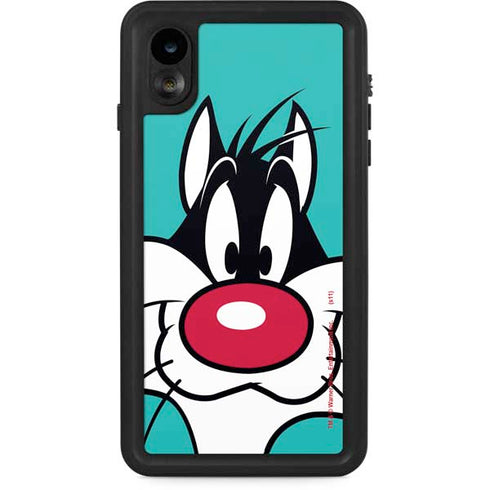 Looney Tunes Sylvester Zoomed In iPhone Cases