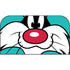 Looney Tunes Sylvester Zoomed In Nintendo Switch 2 (2025) with Joy-Con Skin