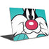 Looney Tunes Sylvester Zoomed In Dell XPS Skin