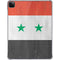 Syria Flag Distressed iPad Pro 11in (2024) Clear Case