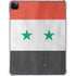 Syria Flag Distressed iPad Pro 11in (2024) Clear Case