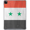 Syria Flag Distressed iPad Cases