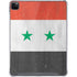 Syria Flag Distressed iPad Cases