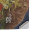 Tabby Cat with Flowers by Nene Thomas PS5 Pro Disk Console Skin
