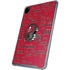 NFL Tampa Bay Buccaneers - Blast iPad Cases