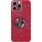 NFL Tampa Bay Buccaneers - Blast iPhone 16 Pro Max Skin