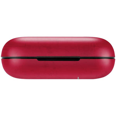 NFL Tampa Bay Buccaneers Distressed Amazon Echo Buds Skin